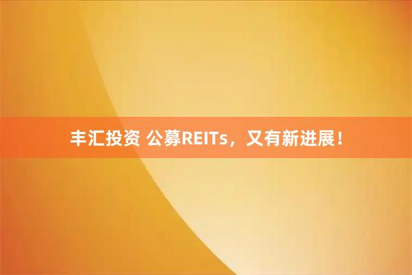 丰汇投资 公募REITs，又有新进展！