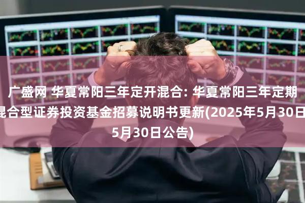 广盛网 华夏常阳三年定开混合: 华夏常阳三年定期开放混合型证券投资基金招募说明书更新(2025年5月30日公告)
