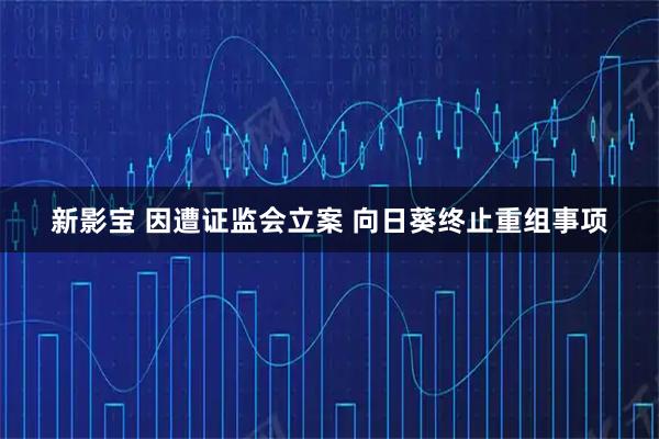 新影宝 因遭证监会立案 向日葵终止重组事项