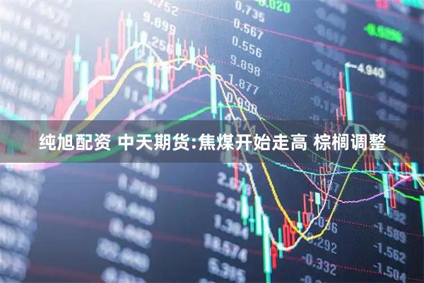 纯旭配资 中天期货:焦煤开始走高 棕榈调整
